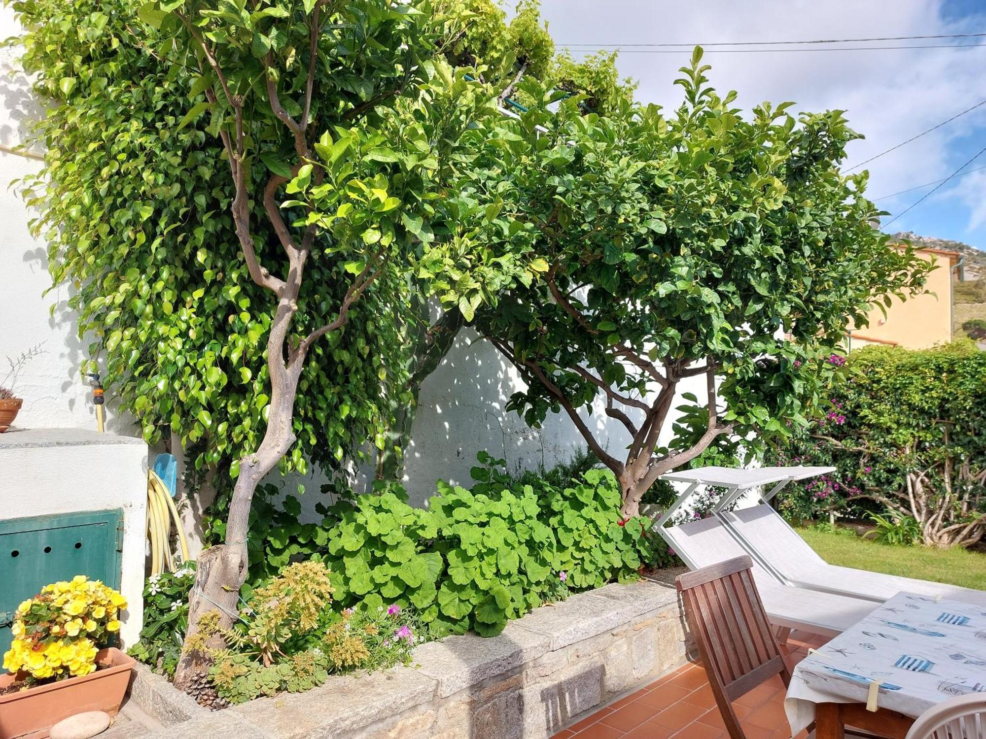 Casa Guerrino Villa Chiessi Eksteriør billede